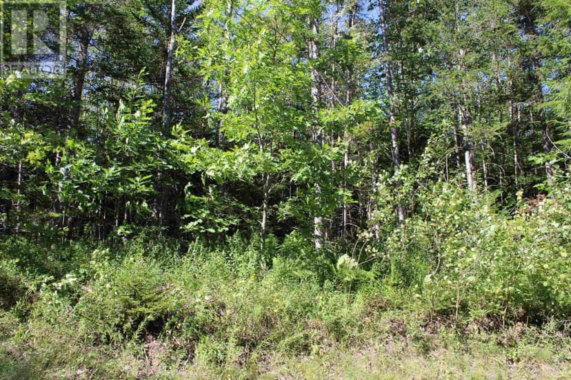 LOT 1 Wilson Road — photo 11 of 34