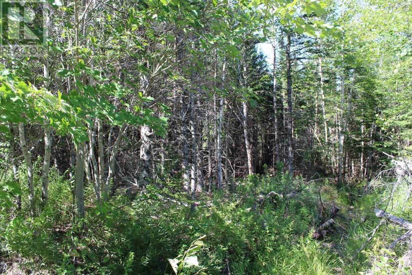 LOT 1 Wilson Road — photo 13 of 34