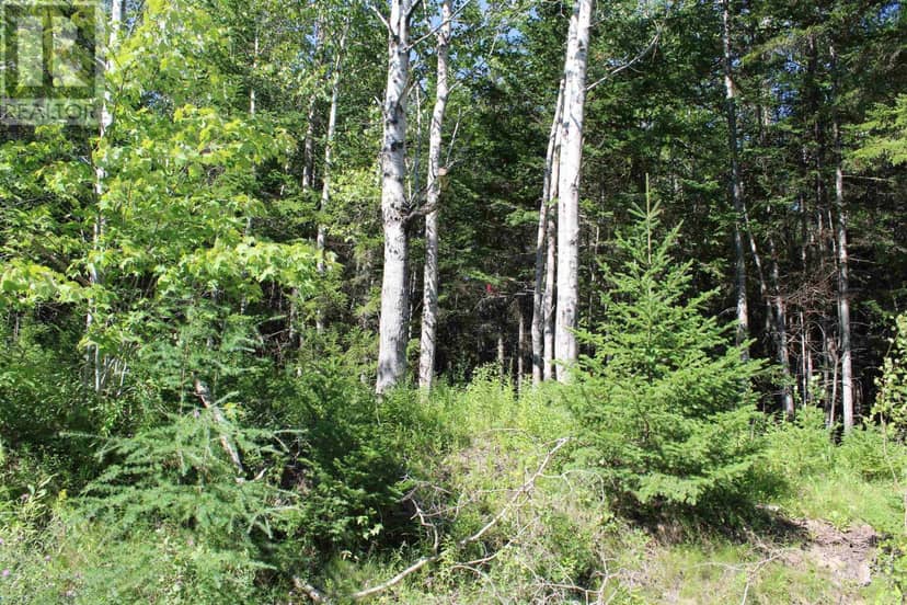 LOT 1 Wilson Road — photo 15 of 34