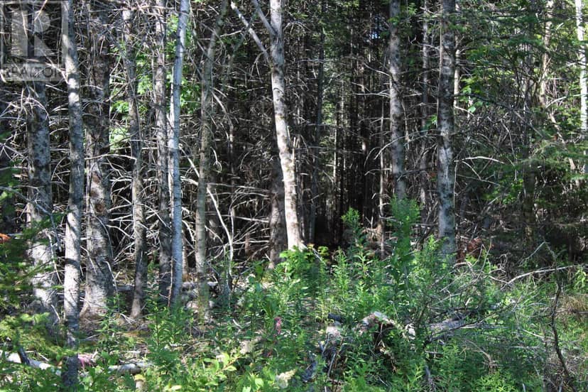 LOT 1 Wilson Road — photo 18 of 34