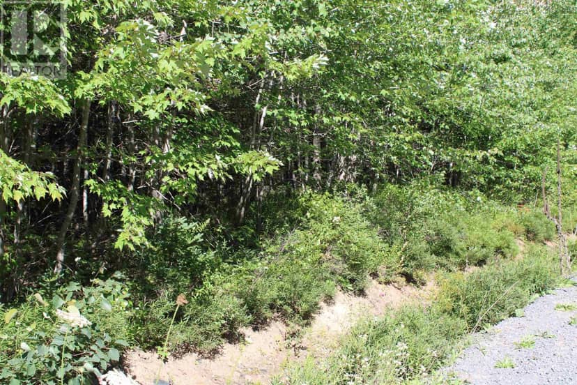 LOT 1 Wilson Road — photo 19 of 34