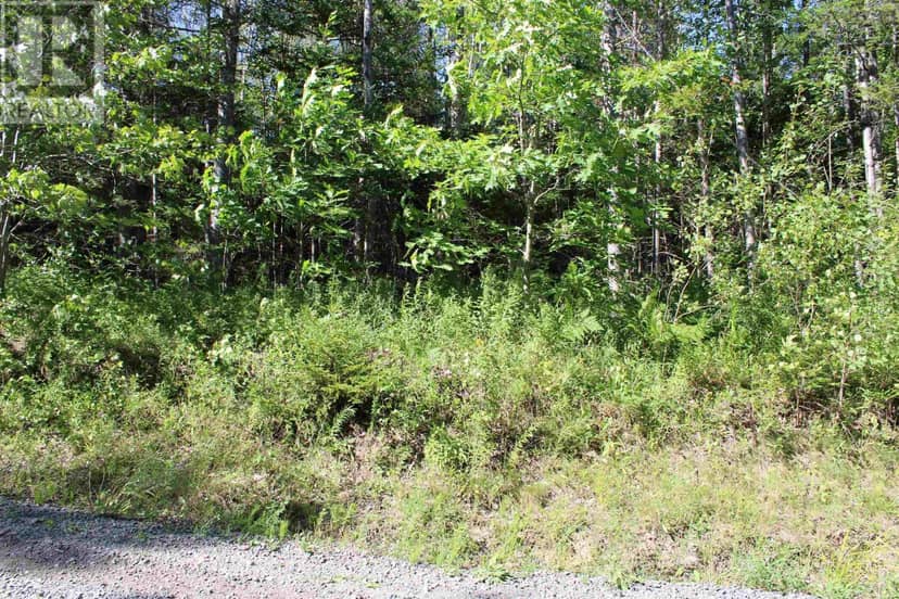 LOT 1 Wilson Road — photo 24 of 34