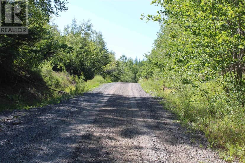 LOT 1 Wilson Road — photo 4 of 34