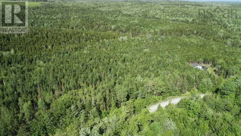 LOT 1 Wilson Road — photo 9 of 34