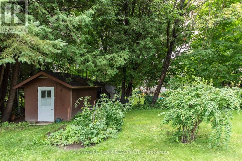 259 Peter Street — photo 7 of 30