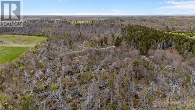 Acreage Shore Road — photo 12 of 18