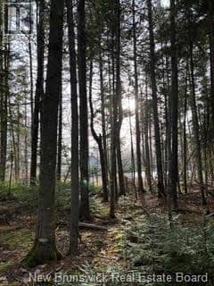 LOT 86-1 Route 114 — photo 7 of 18