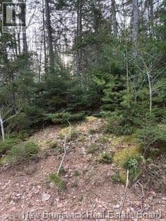 LOT 86-1 Route 114 — photo 8 of 18