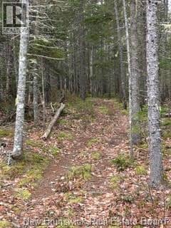 LOT 86-1 Route 114 — photo 9 of 18