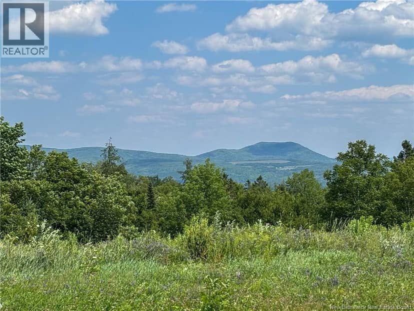 Lot 0 Scott Road — photo 12 of 20