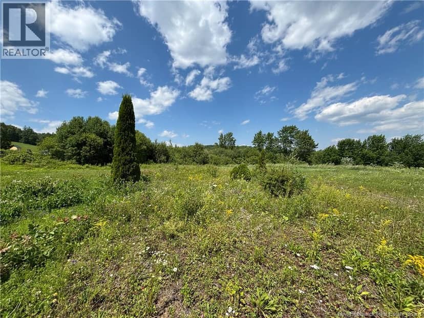 Lot 0 Scott Road — photo 6 of 20