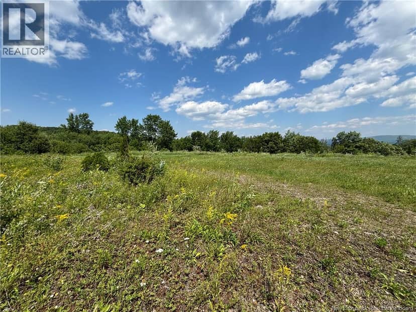 Lot 0 Scott Road — photo 14 of 20