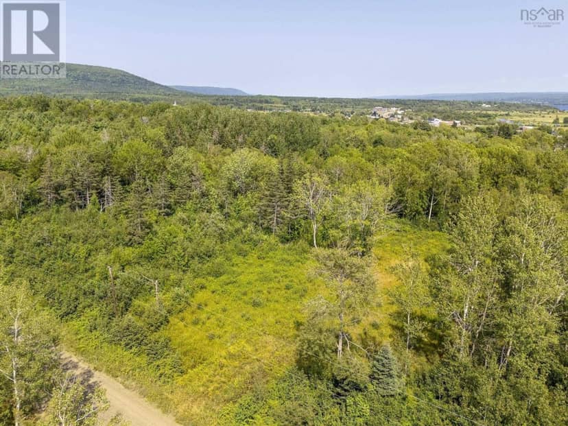 Lot 1 Haul Road — photo 2 of 40
