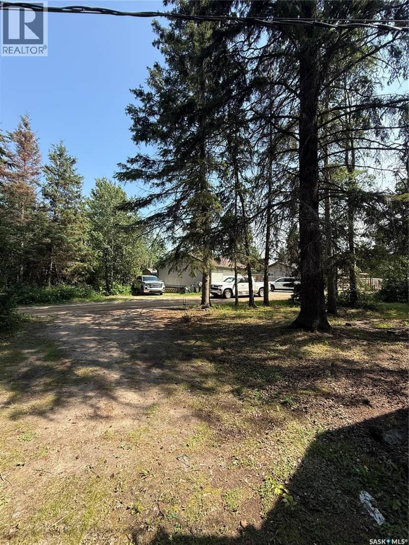 106 Agnes STREET, Emma Lake, photo 3