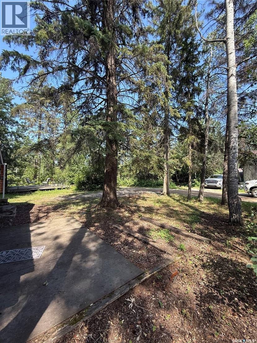 106 Agnes STREET, Emma Lake, photo 4