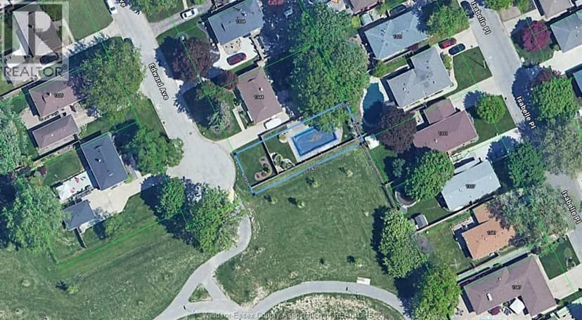 V/L Edward — photo 2 of 3