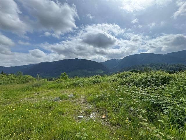 12408 SEUX ROAD, Mission, photo 5