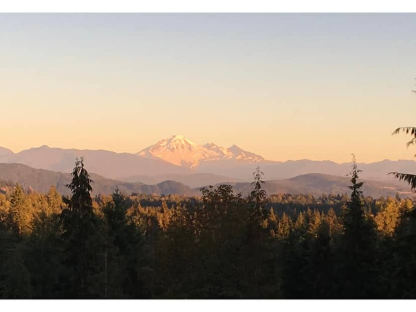 9985 KEENAN TERRACE, Mission, photo 3