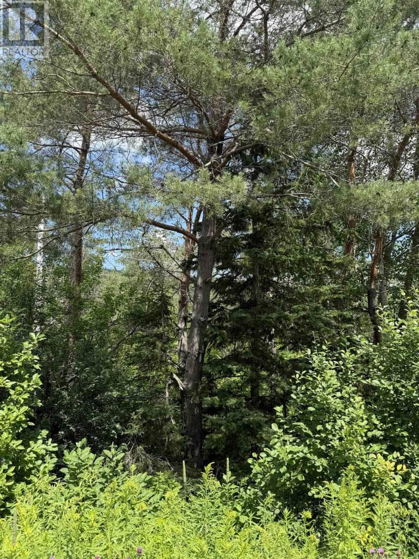 Lot 1 & 2 Whycocomagh Port Hood Rd. Soapstone Mine — photo 2 of 10