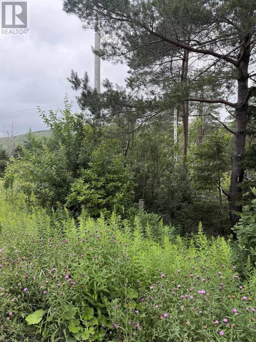 Lot 1 & 2 Whycocomagh Port Hood Rd. Soapstone Mine — photo 6 of 10