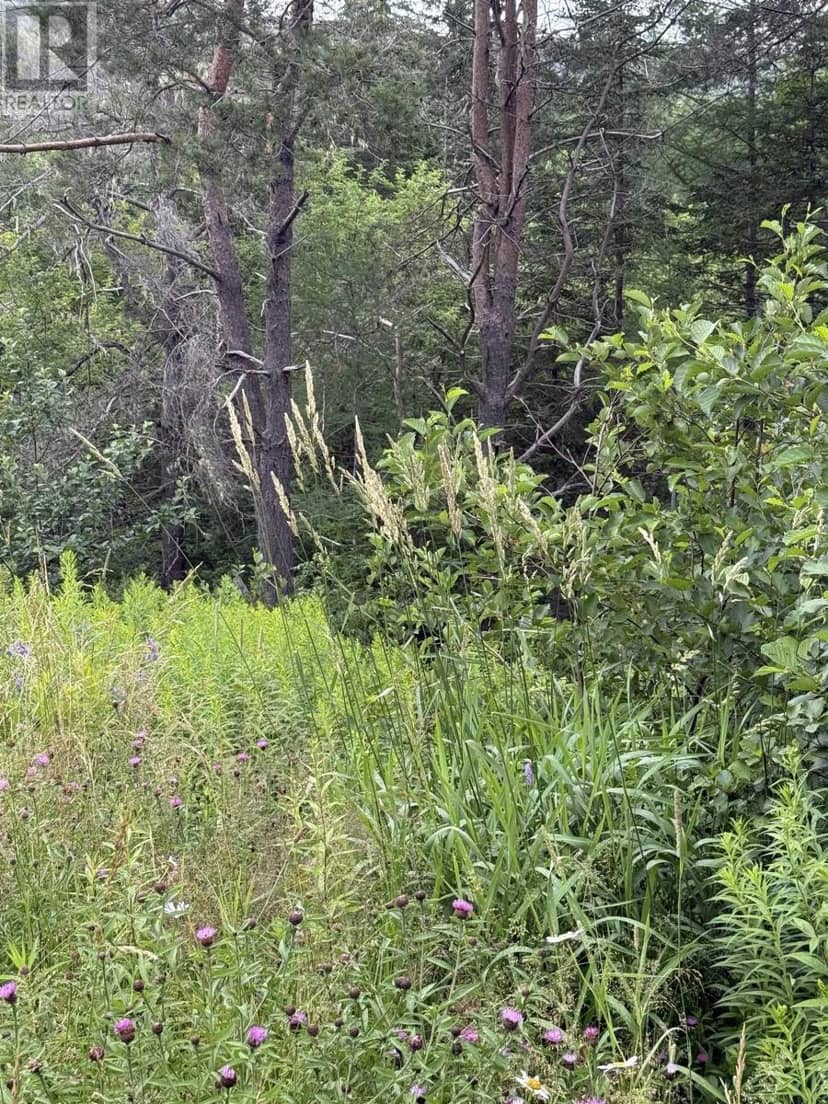 Lot 1 & 2 Whycocomagh Port Hood Rd. Soapstone Mine — photo 8 of 10