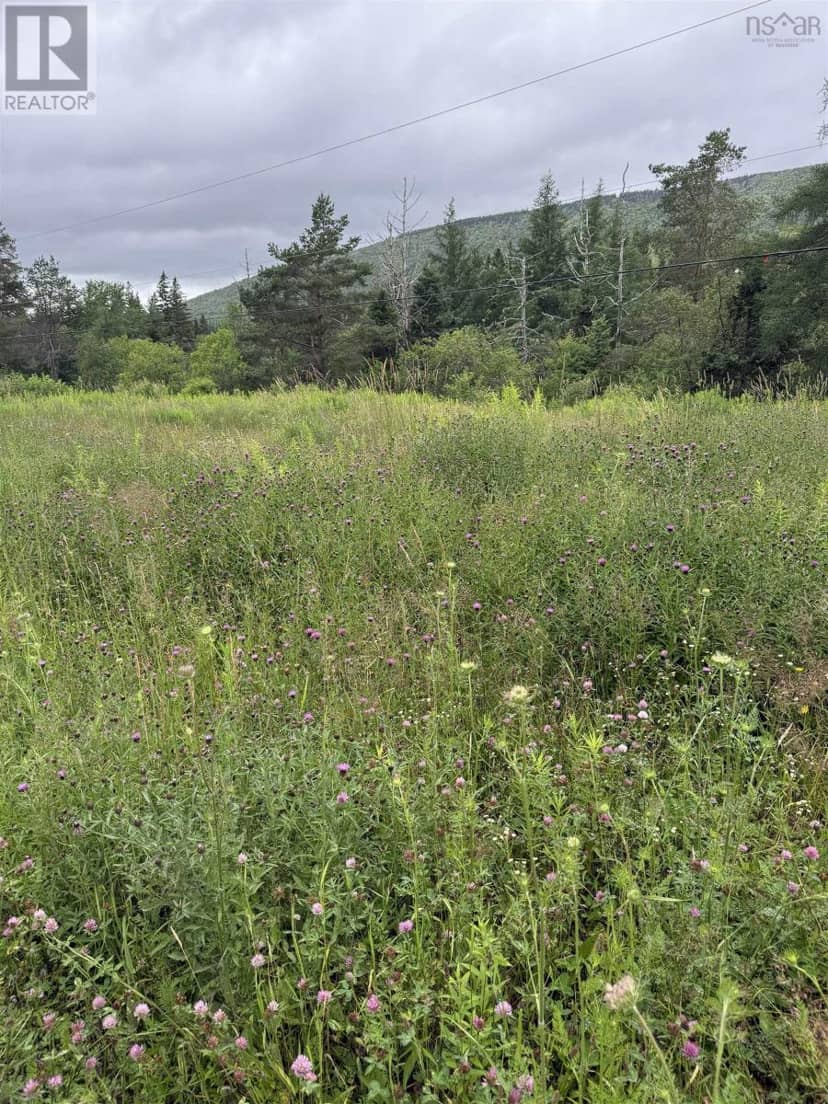 Lot 1 & 2 Whycocomagh Port Hood Rd. Soapstone Mine — photo 4 of 10