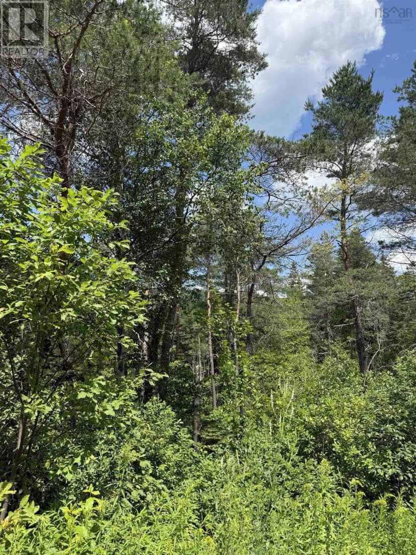 Lot 1 & 2 Whycocomagh Port Hood Rd. Soapstone Mine — photo 3 of 10