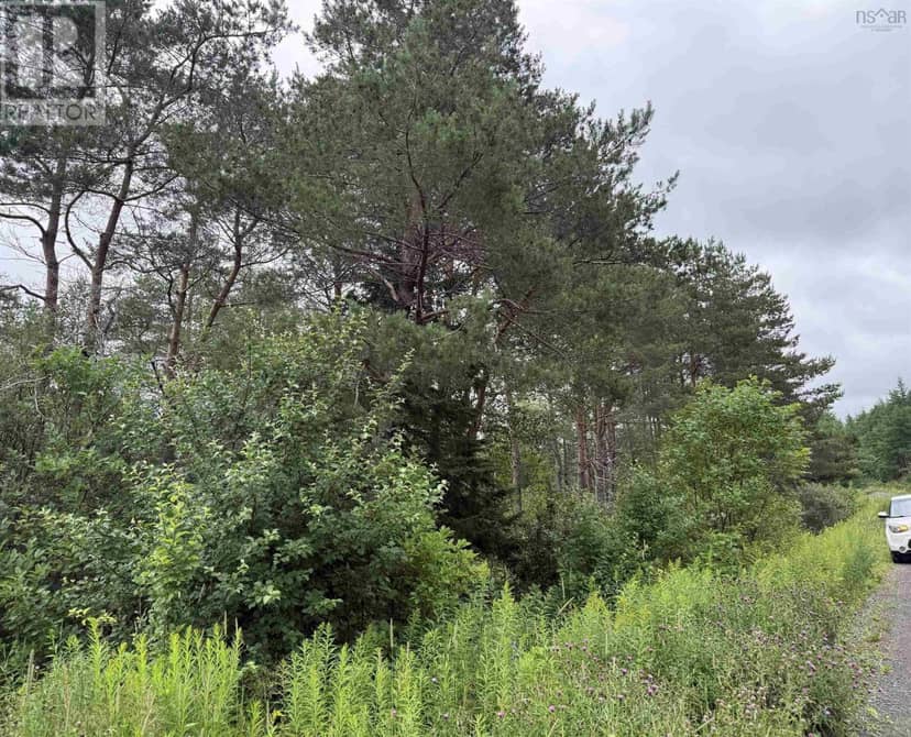 Lot 1 & 2 Whycocomagh Port Hood Rd. Soapstone Mine — photo 5 of 10