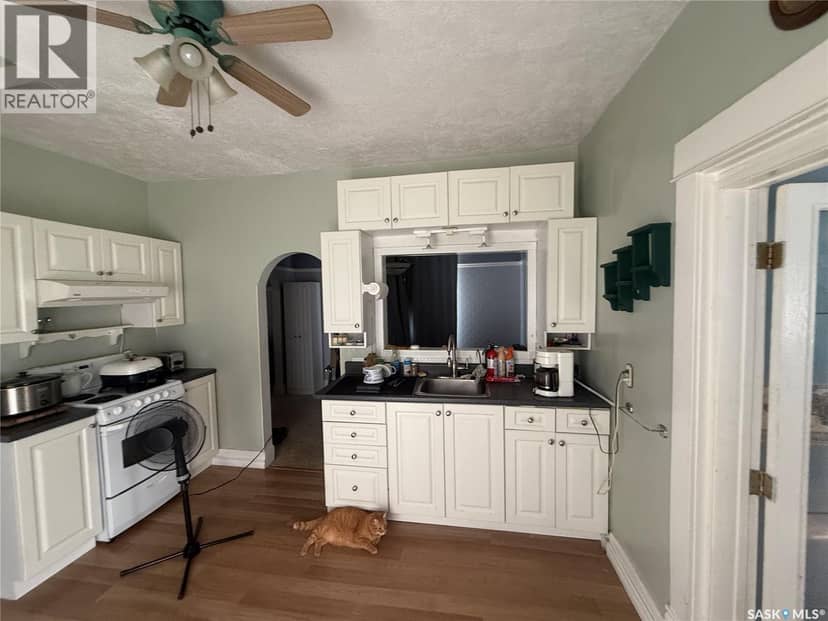 381 Main STREET, Bengough, photo 4
