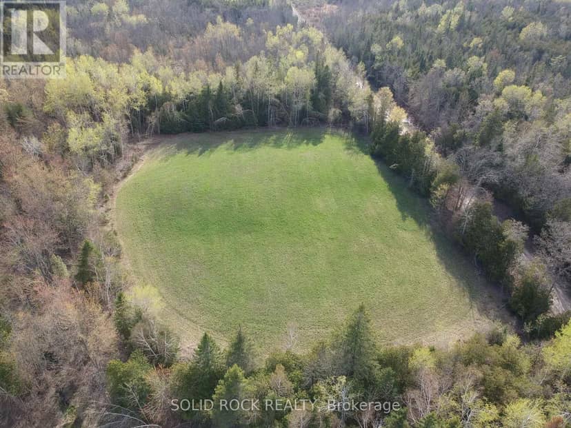 3643 10th Line East — photo 5 of 5