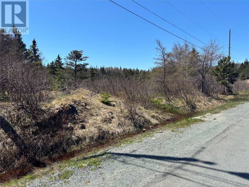 19-21 Lawrence Lane, Pouch Cove, photo 2