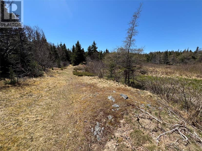 19-21 Lawrence Lane, Pouch Cove, photo 3