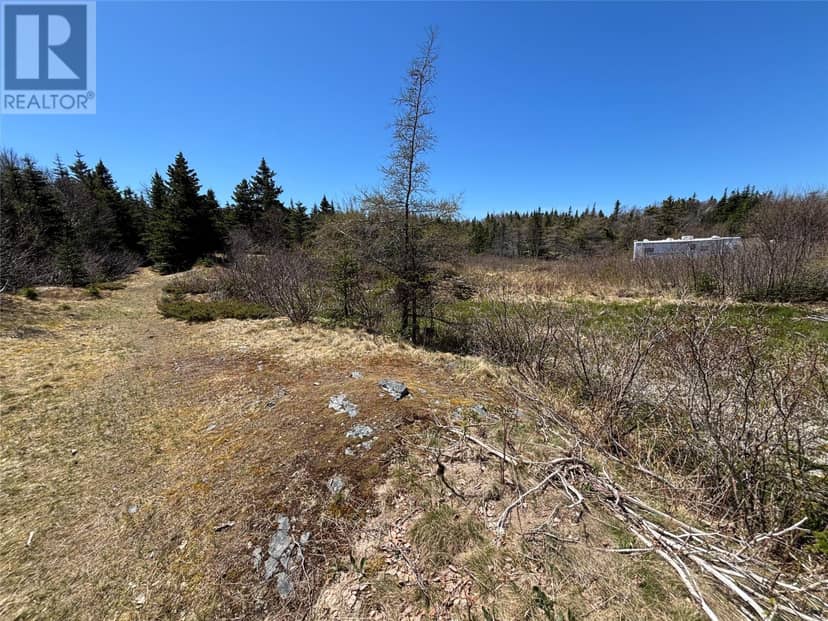 19-21 Lawrence Lane, Pouch Cove, photo 4