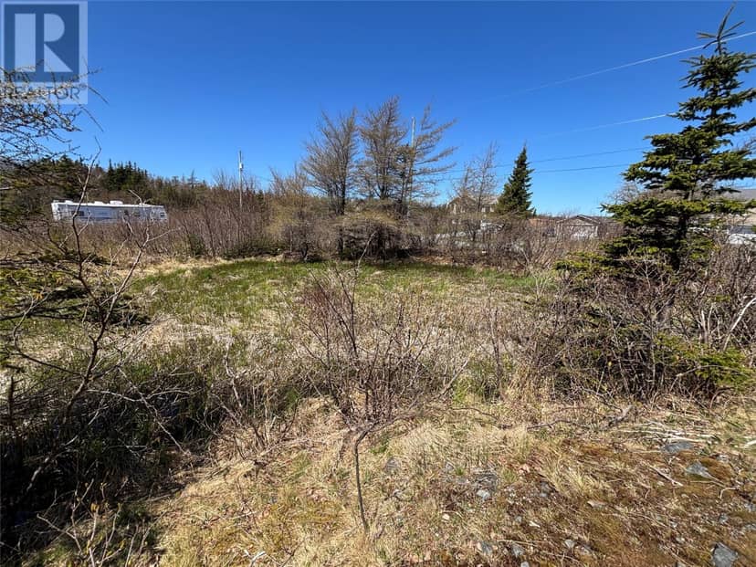 19-21 Lawrence Lane, Pouch Cove, photo 5