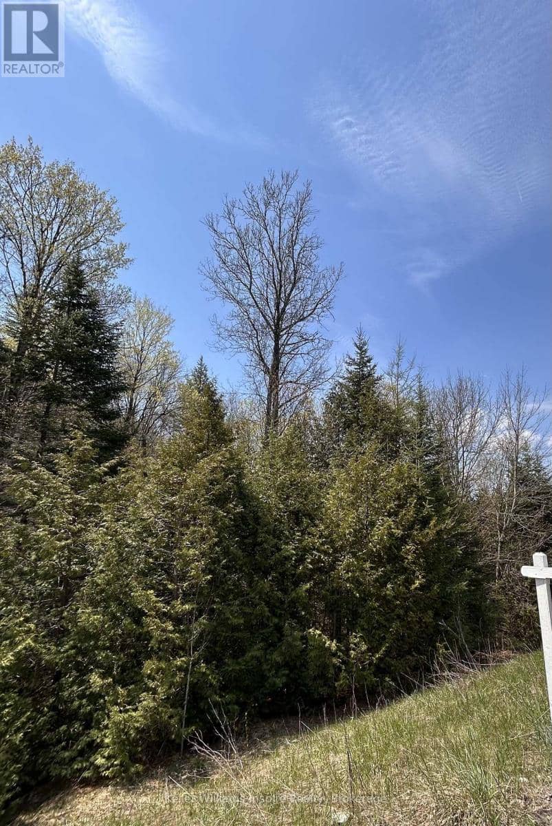0 Highway 118 — photo 18 of 19