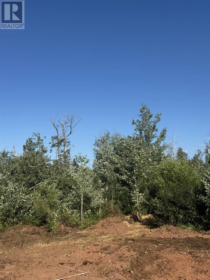 Lot Elliotvale — photo 4 of 6