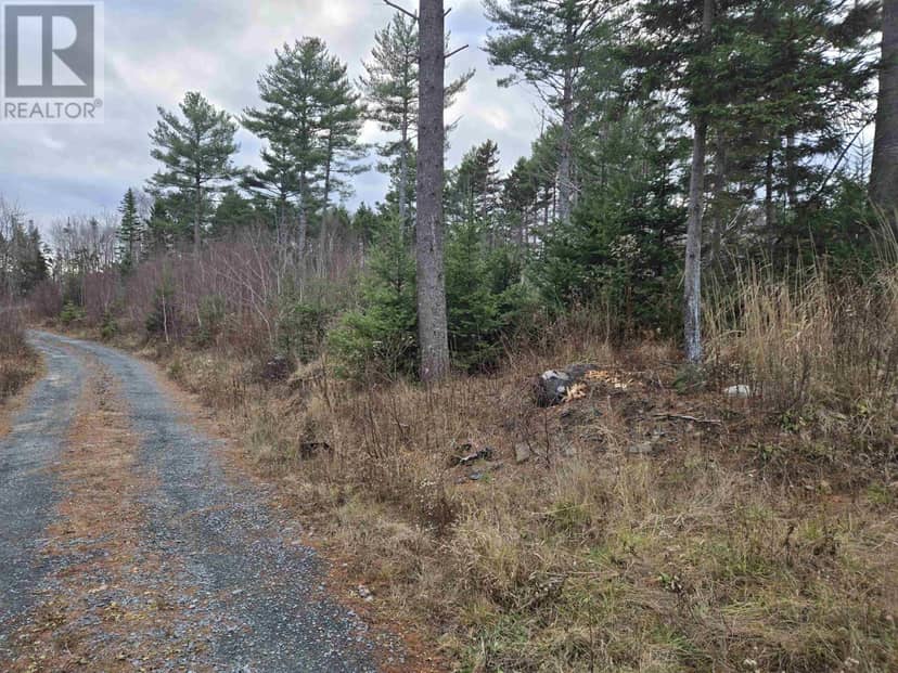 Lot P-1 Baker Road, Mount Pleasant, photo 7