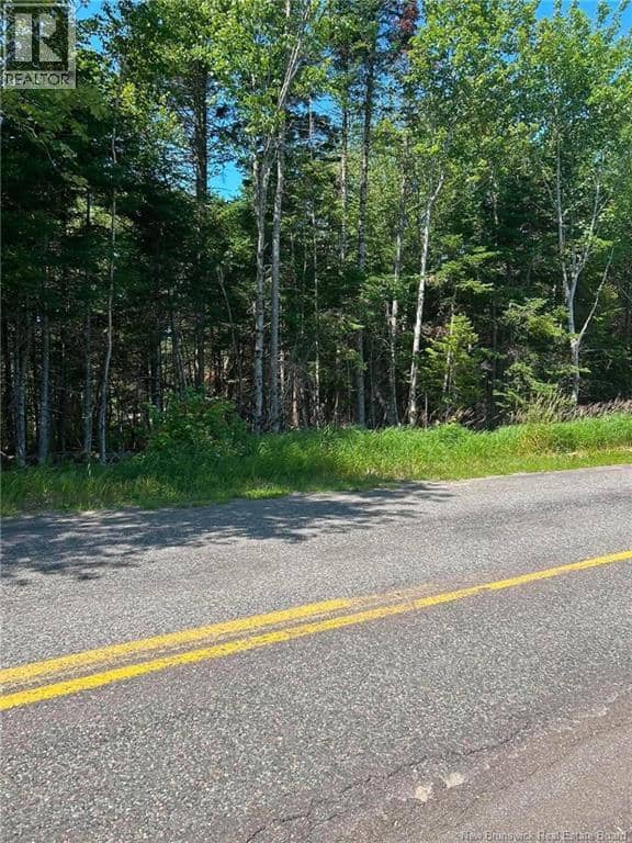 Lot 20-1 Route 825, Fairfield, photo 2