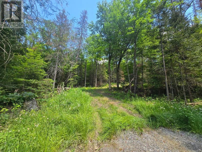 1630 Midlothian Road, Ryerson, photo 2