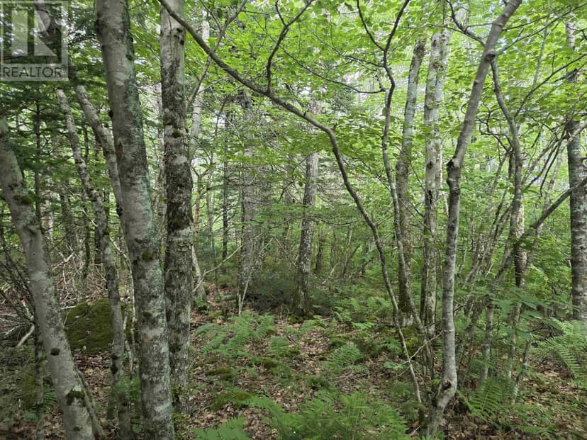 Lot 25 Lake Drive, Port Mouton, photo 6