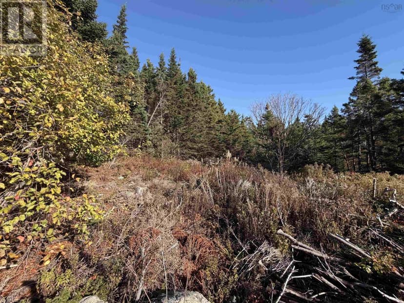 429 Highway 7 — photo 7 of 40