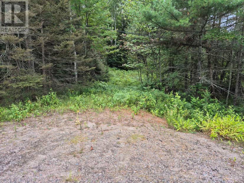 3518 Highway 17 — photo 4 of 9
