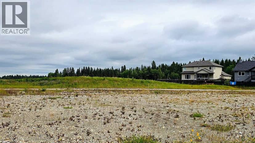 220 12 Avenue NE, Sundre, photo 6