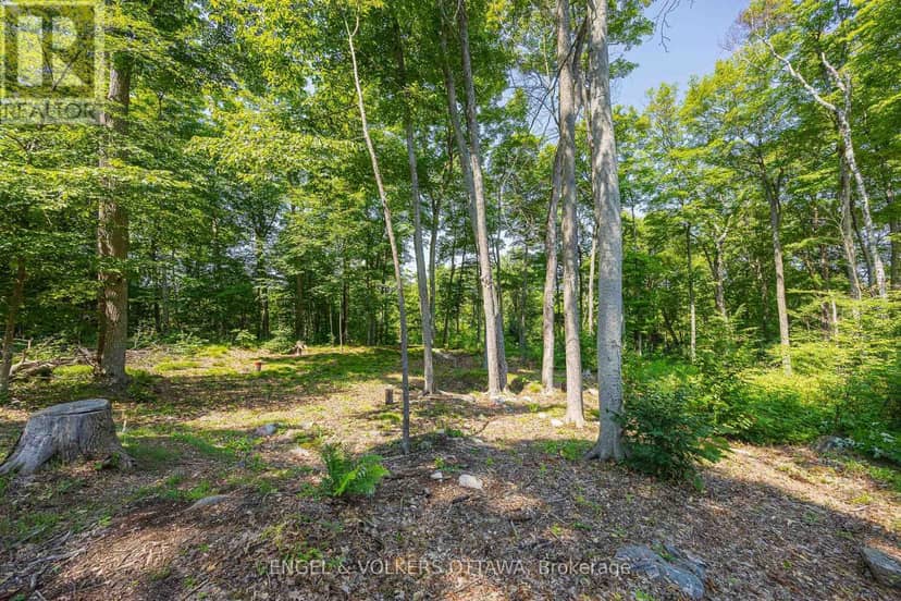223 Shady Maple Road — photo 11 of 28
