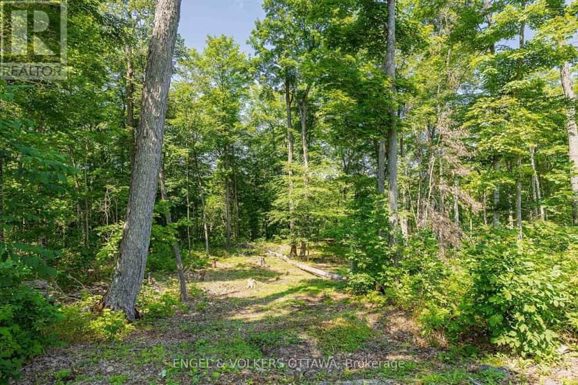 223 Shady Maple Road — photo 13 of 28