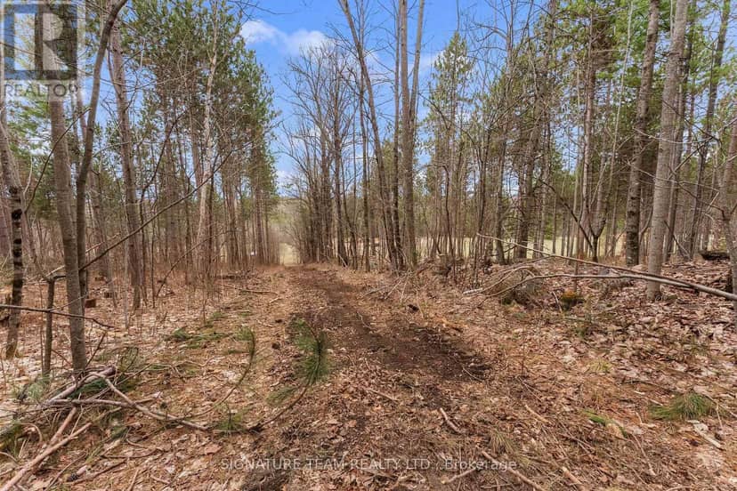 359 Dittburner Road — photo 22 of 36