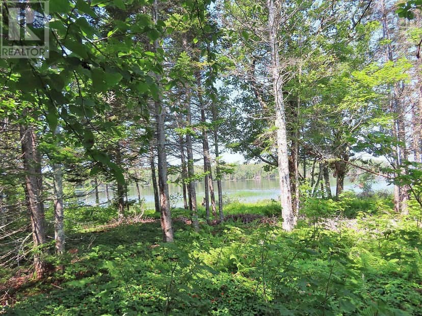 83.9 Acres Grand Mira South Road — photo 15 of 40