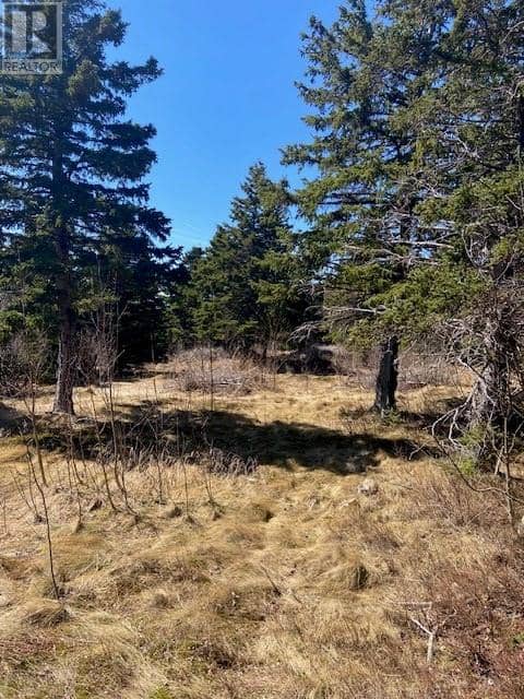 177B Coley's Point South Road — photo 8 of 18