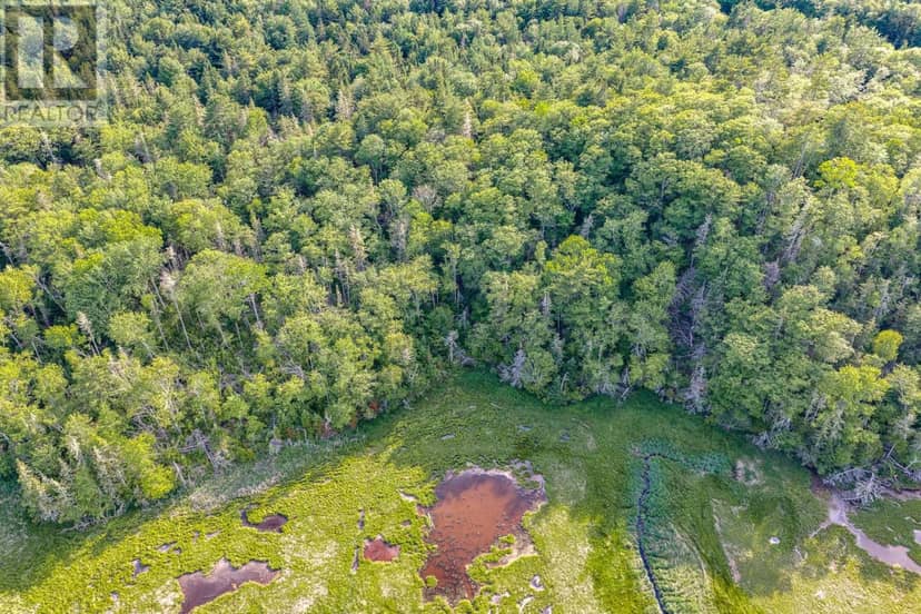 Lot 2 Jordan Branch Road — photo 12 of 16