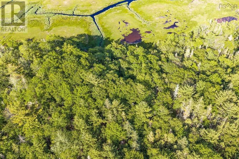 Lot 2 Jordan Branch Road — photo 7 of 16